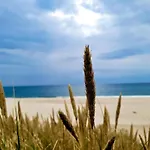 Vakantiehuis 8 Person Holiday Home In Harboore *